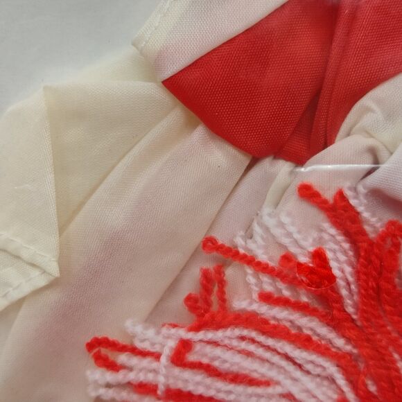 Westwater Bear Wear Active for Bears on The Go Red Cheerleader W/ Pom pom NEW - Picture 8 of 9